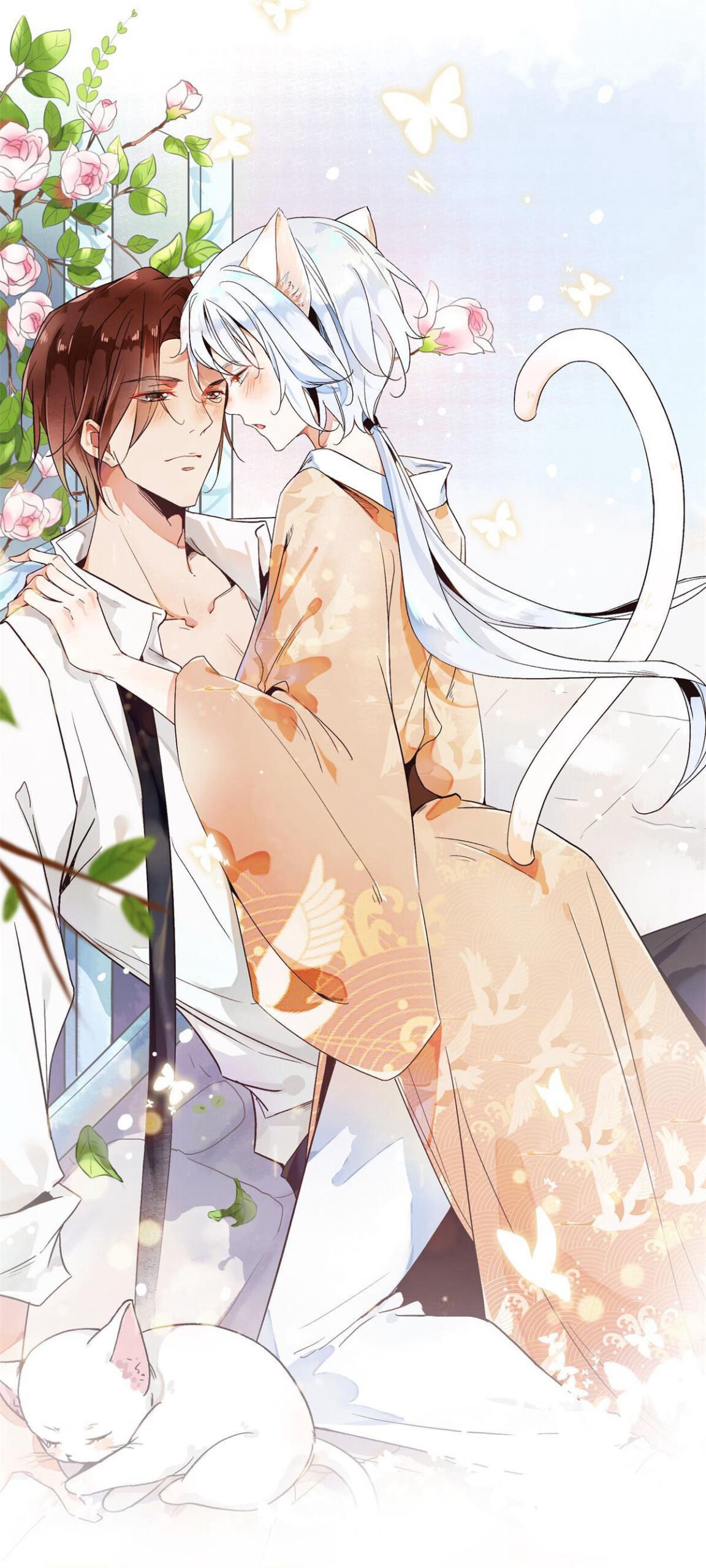 Capa Precisa de um gato, querida divindade